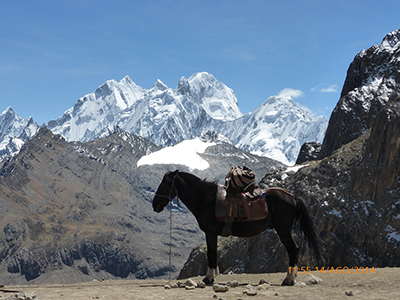 Guide Randonnee Montagne Perou